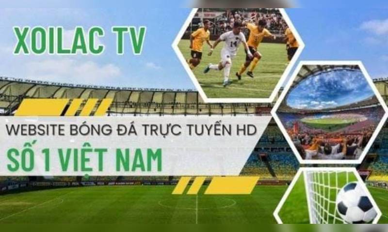Trực tiếp bóng đá trực tiếp an toàn và uy tín hàng đầu tại Việt Nam